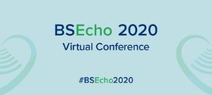 BSEcho 2020