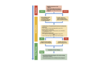 Cardio-oncology eLearning module